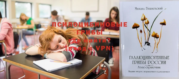 спайс Алзамай