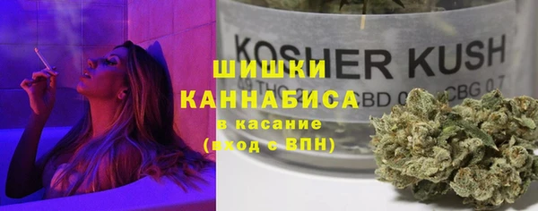 спайс Алзамай