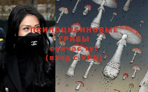 спайс Алзамай