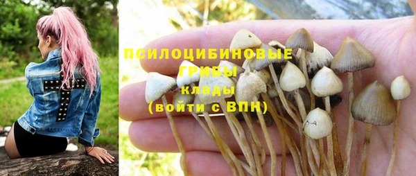 гидропоника Алексеевка