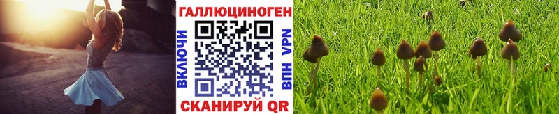 Галлюциногенные грибы прущие грибы  Котлас 